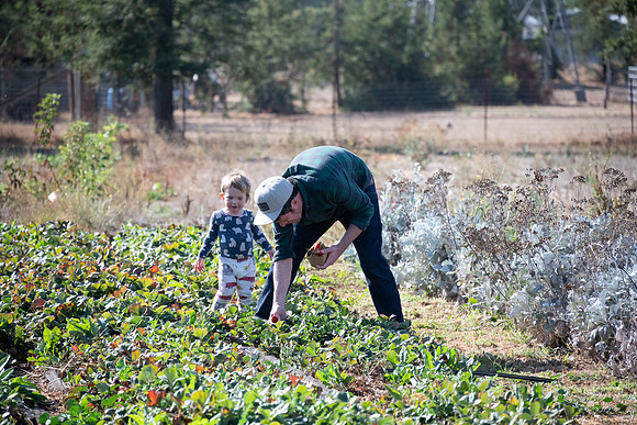 Cassidy Ranch Fall 24_02