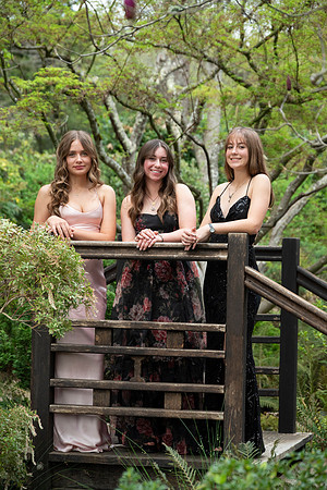 CHS_PROM_133