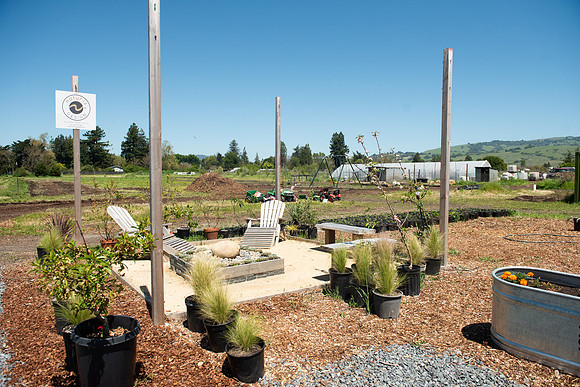 DeepRoots_April 2024_LR_02
