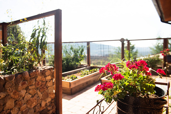 Garden_02