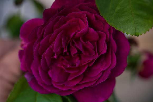 Details2_092_SM
