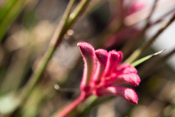 DETAILS_46_SM