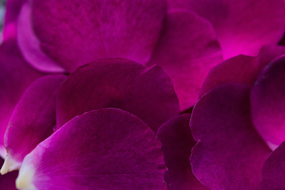 Details2_096_SM