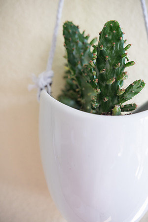DETAILS_05_SM