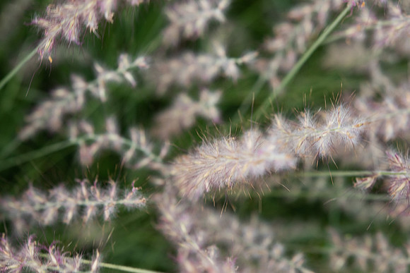 DETAILS_64_SM