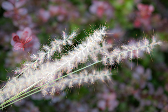 DETAILS_66_SM