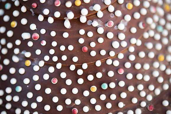 Details2_162_SM