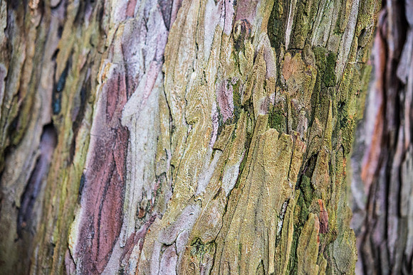 Details2_054_SM