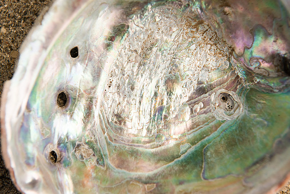 Details2_029_SM