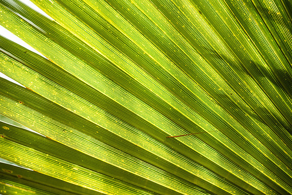 Details2_048_SM