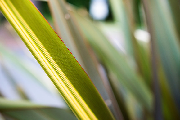DETAILS_71_SM
