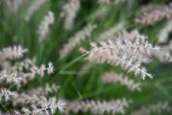 DETAILS_65_SM
