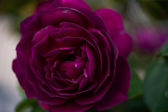 Details2_089