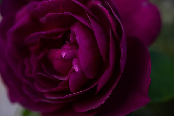 Details2_090