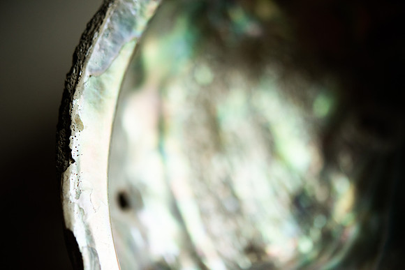 Details2_031