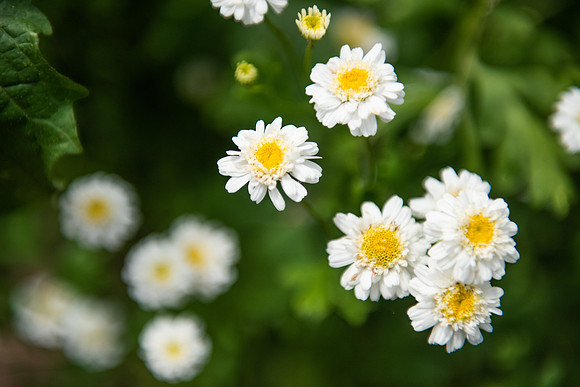 Details2_027