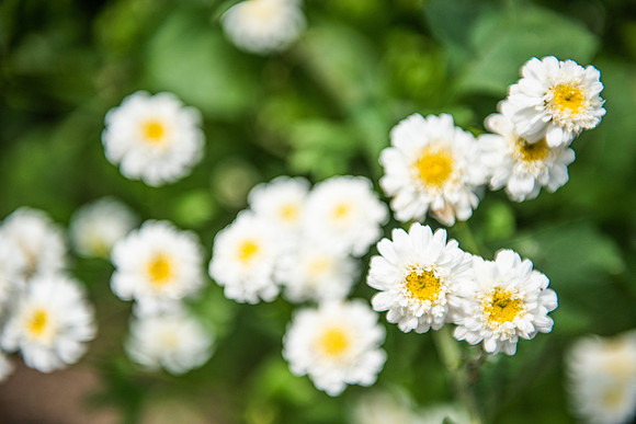 Details2_028