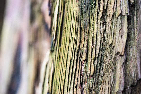 Details2_056