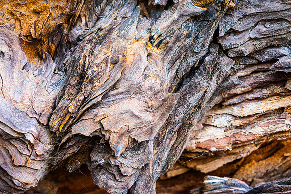 Details2_059