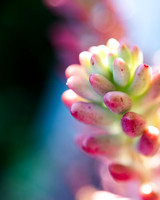 Details 2