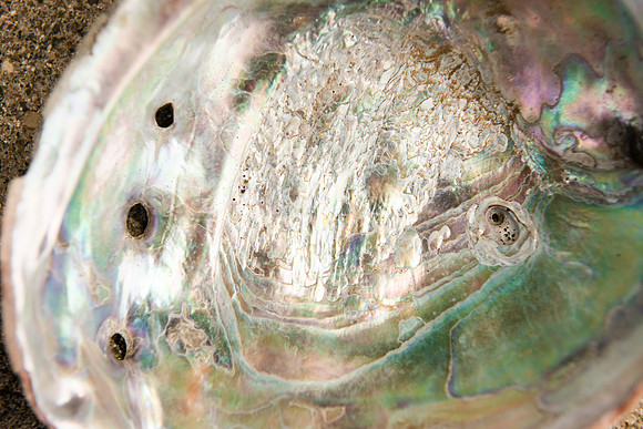 Details2_029