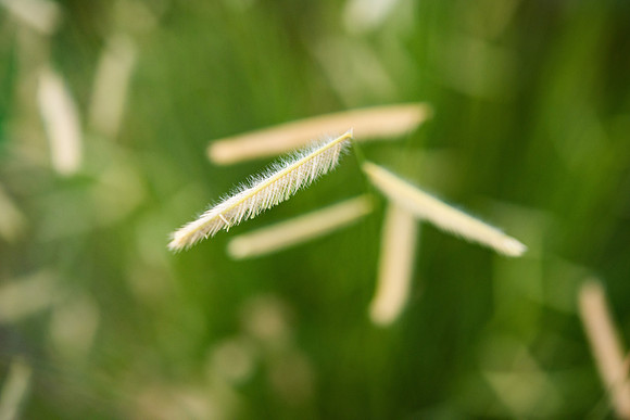 Details2_139