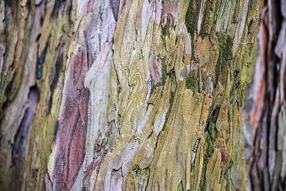 Details2_054