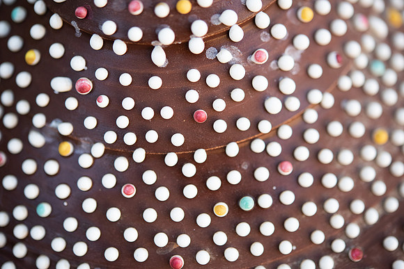 Details2_162