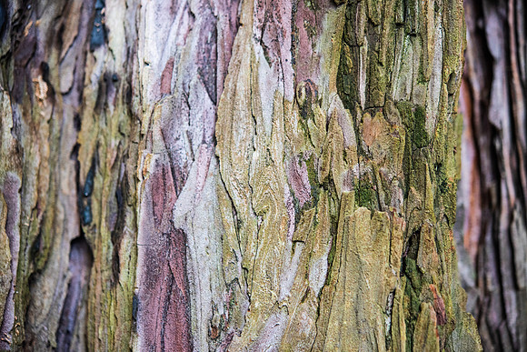 Details2_053
