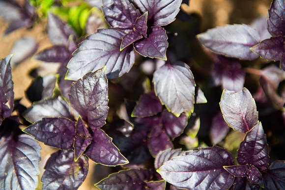 Details2_025