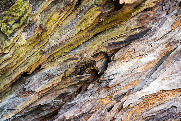 Details2_057