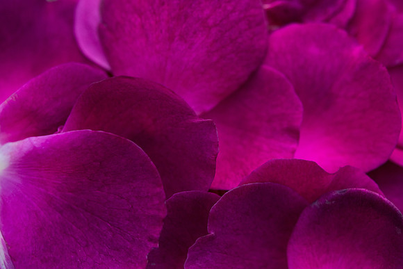 Details2_095