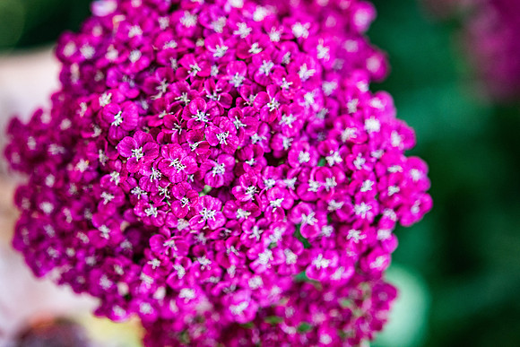 Details2_125
