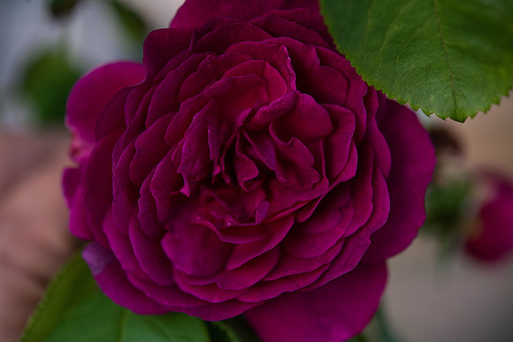 Details2_092