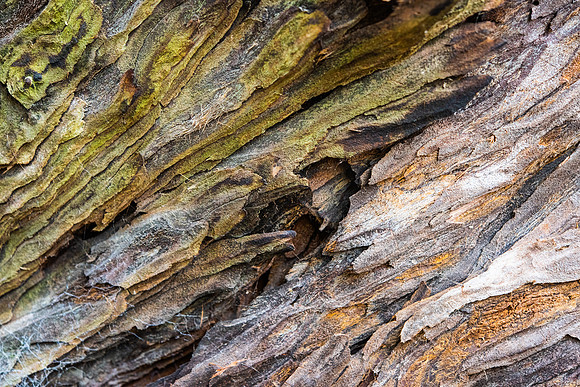 Details2_058