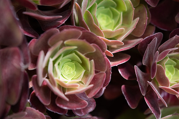 Details2_071