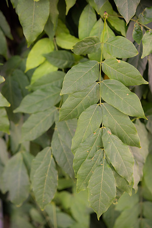 DETAILS_48