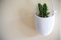 DETAILS_06