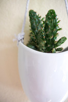 DETAILS_05