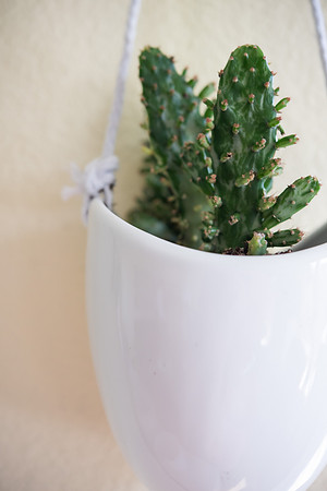 DETAILS_05