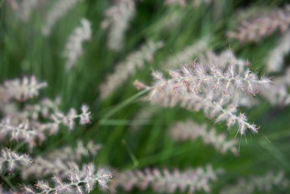 DETAILS_65