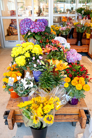 AndysMkt_68
