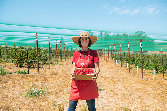 BoringFarms_02
