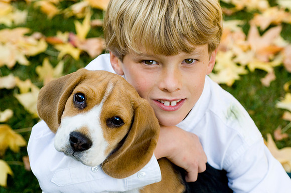 PETS_10