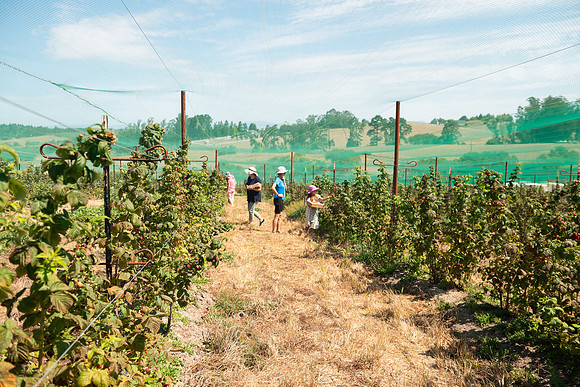 BoringFarms_16