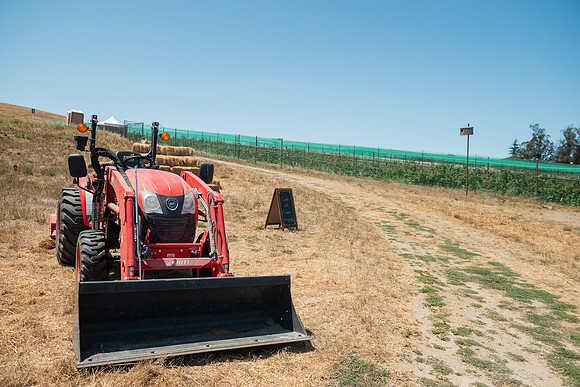 BoringFarms_60