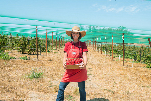 BoringFarms_05