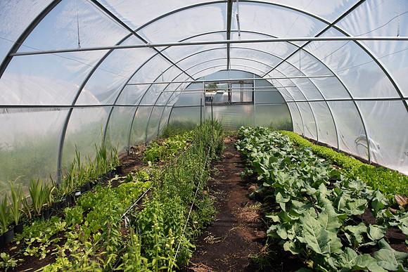 DeepRoots_April 2024_LR_10