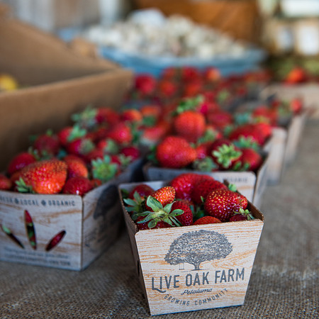 LOHarvest19_026