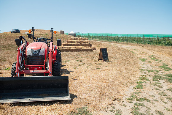 BoringFarms_57